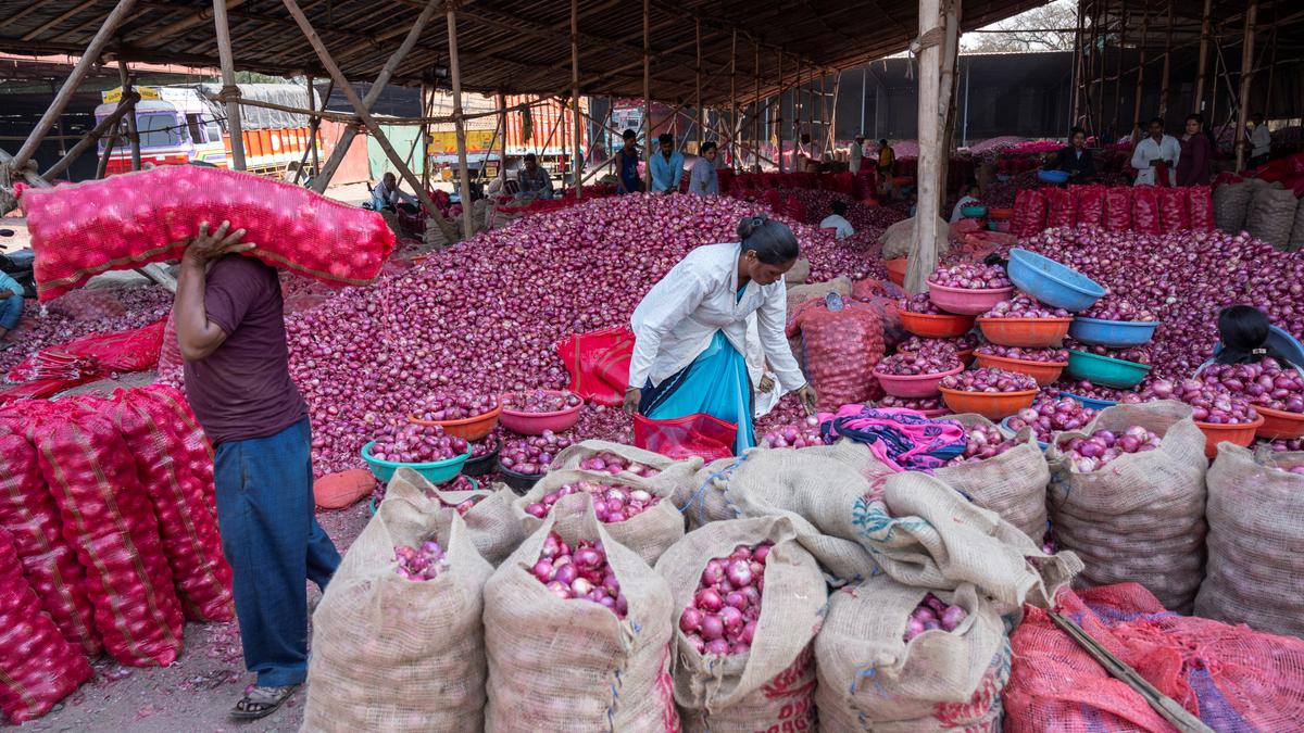 Traders Protest Against Export Duty: Onion Auctions Shut Indefinitely in Nashik