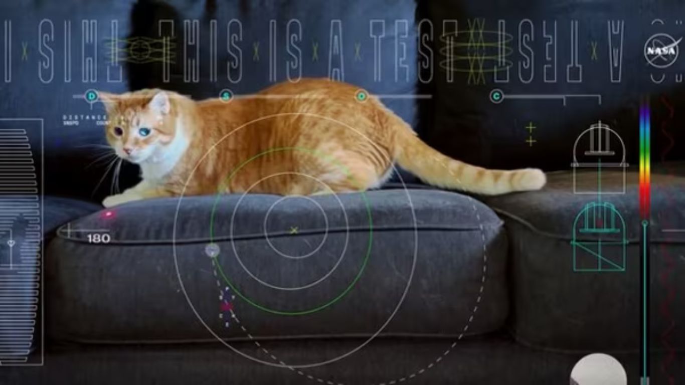 NASA Achieves Milestone: Beams Cat Video from Spaceship 31 Million Km Away